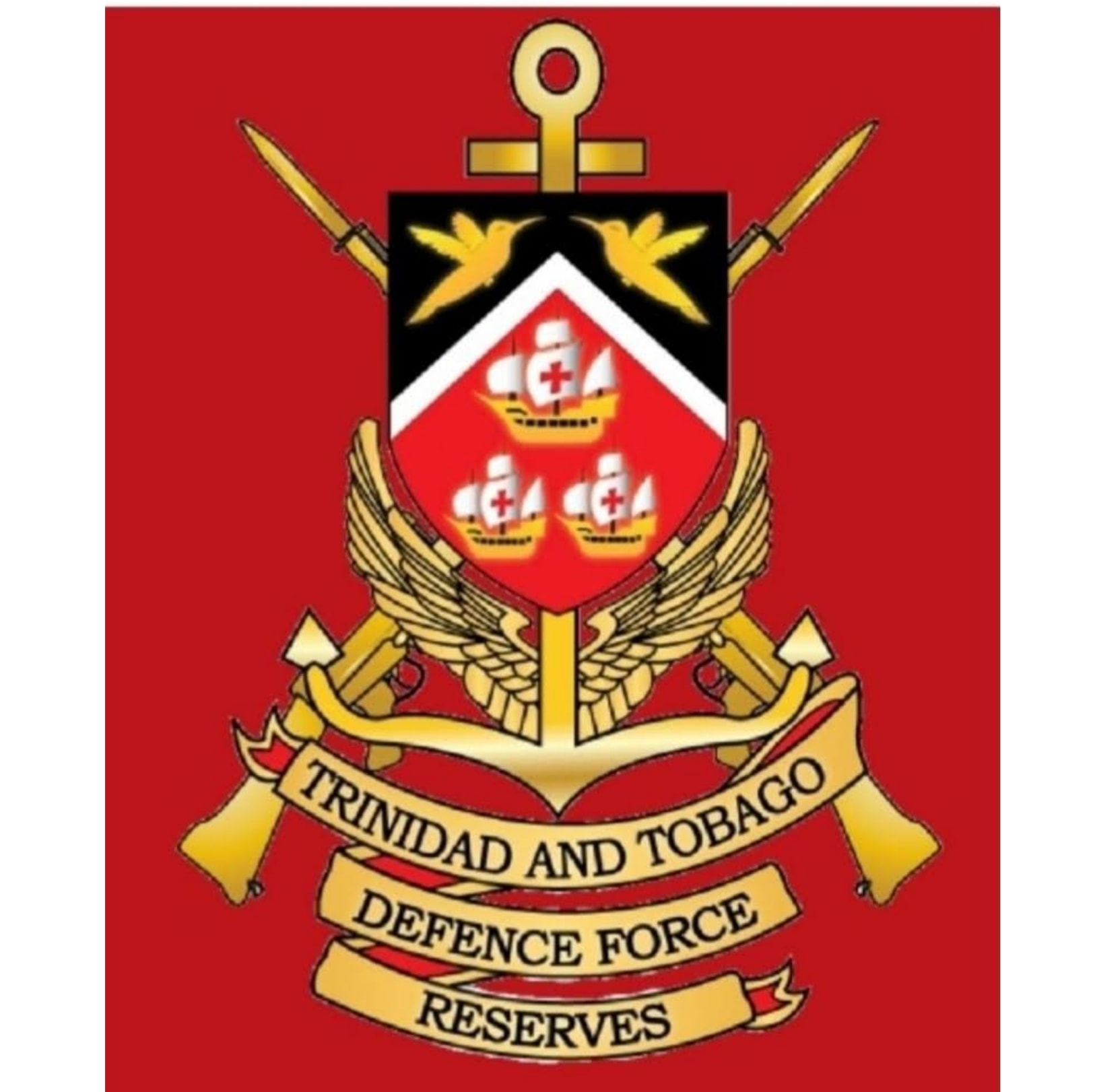 International... - Trinidad and Tobago Defence Force Reserves | Facebook