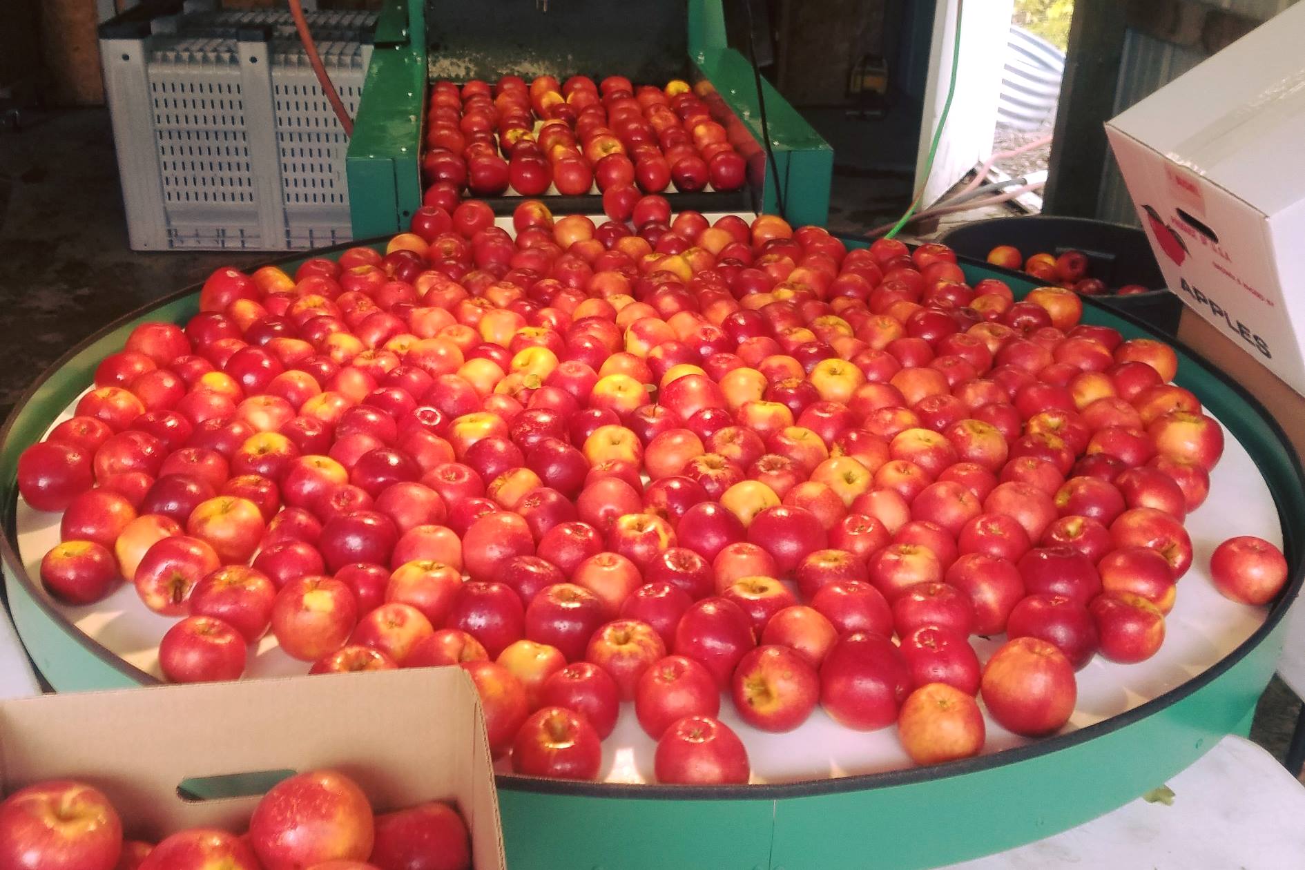 Minnesota Grown - It's Member Monday! Inspired Acres in Le Sueur is a ...