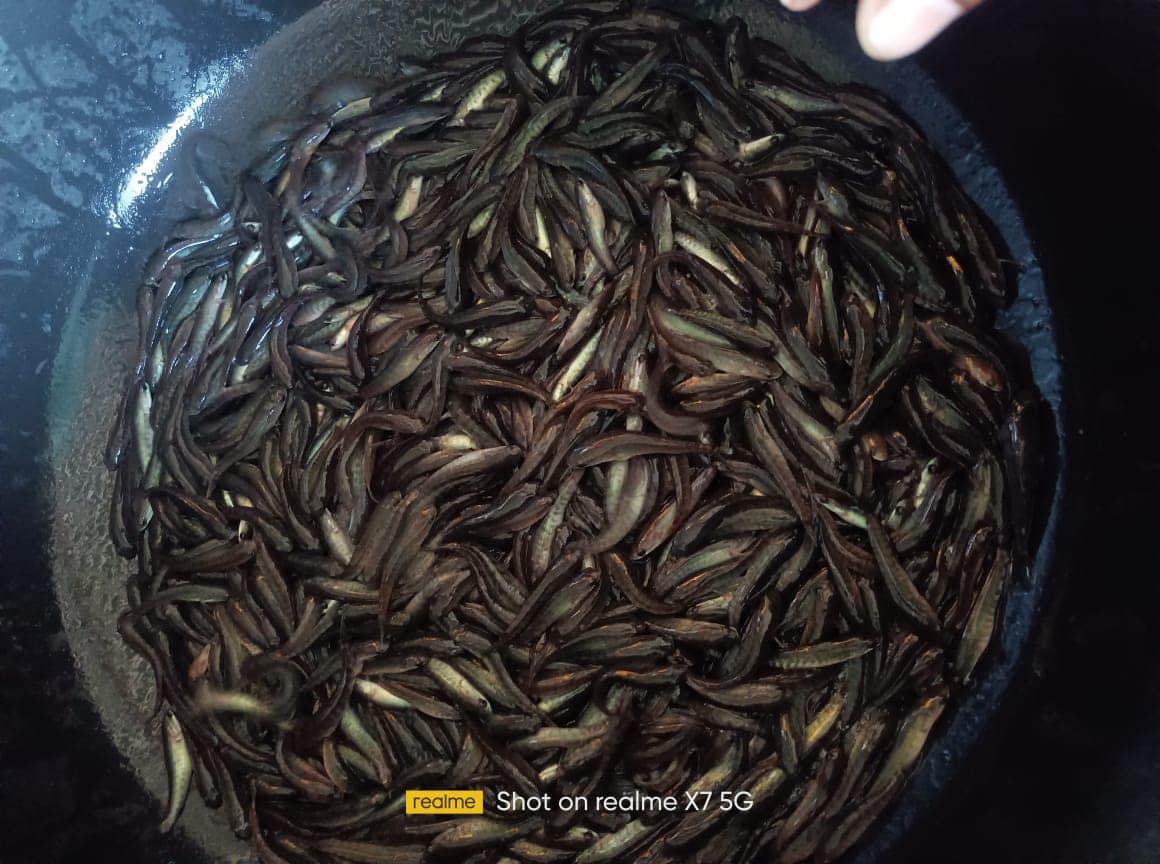 Mariyadan fish farm | Mattanur