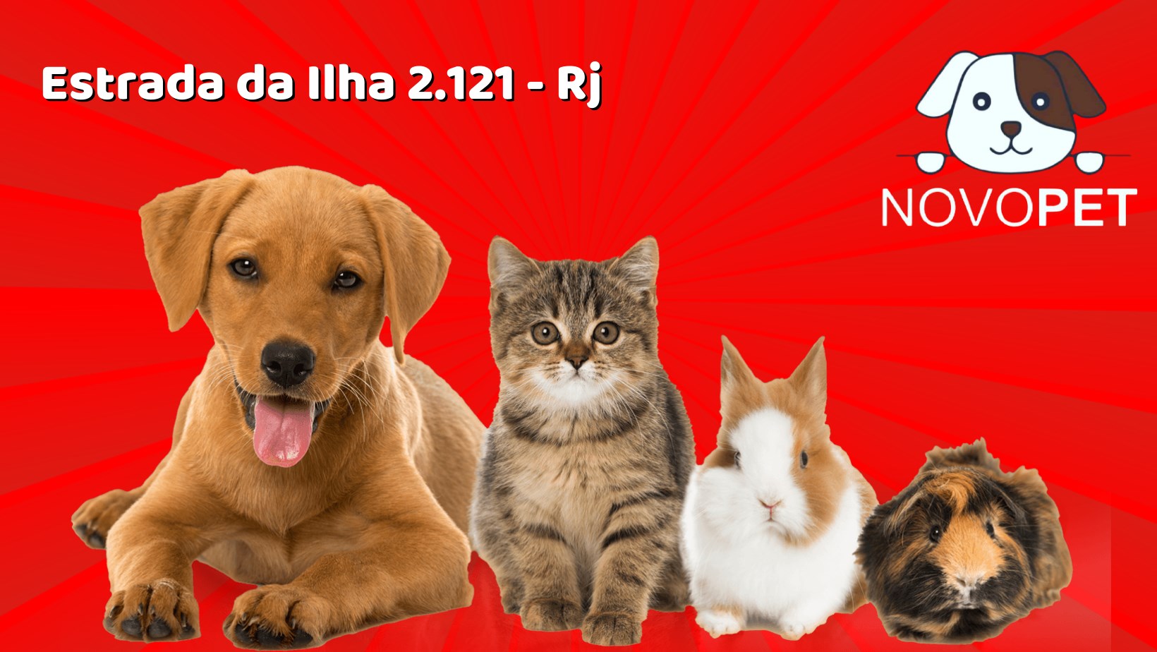 Pets Mimados - Boa tarde a todos, sou o novo dono da Pets Mimados, me ...