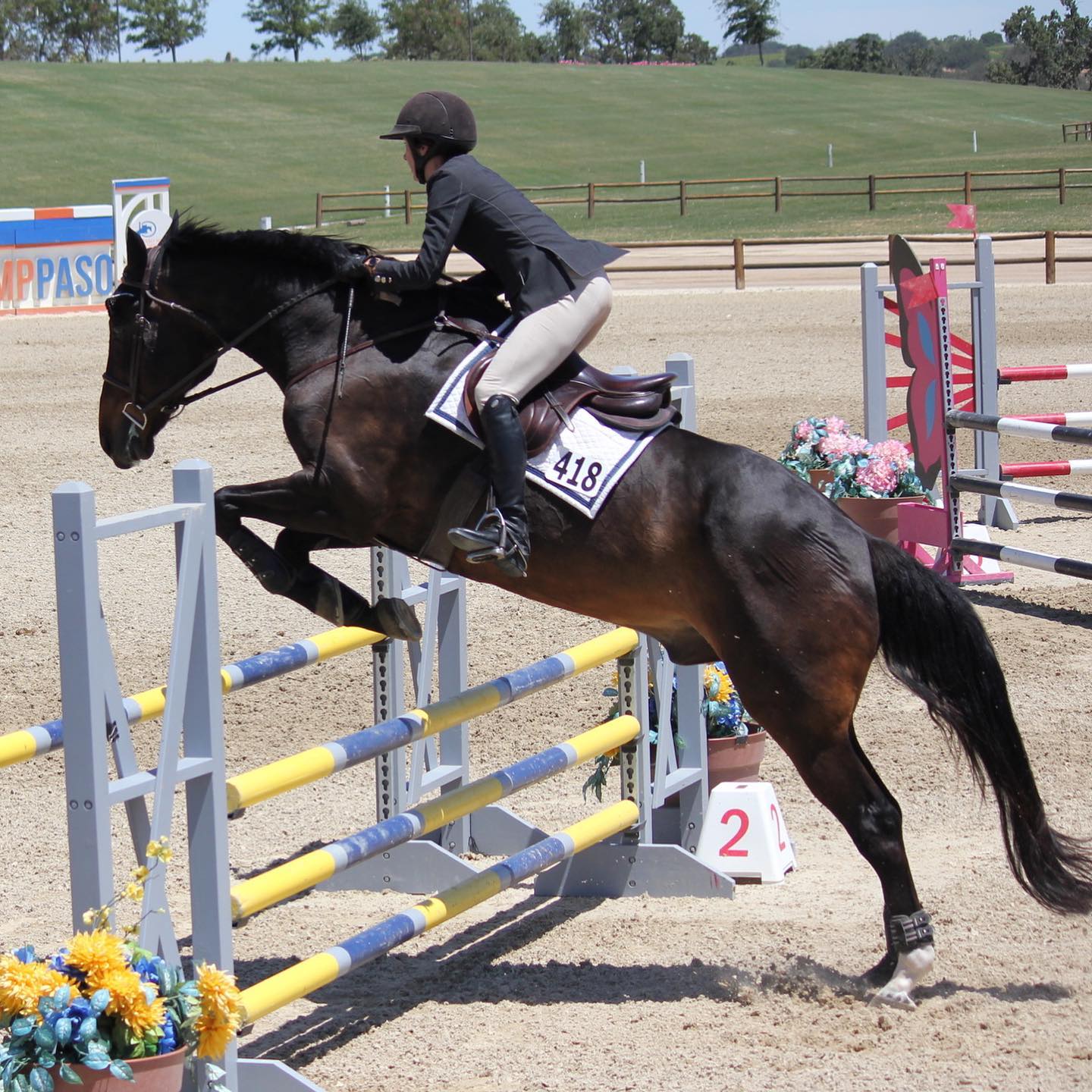 Alexander Farms Riding... - Alexander Farms Riding Academy