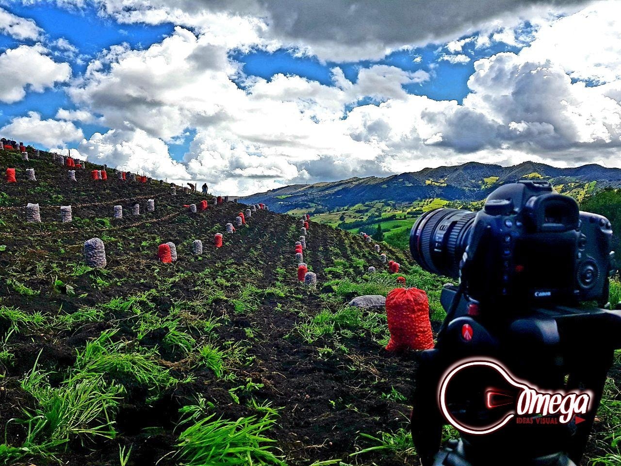 #elcampo la mejor... - Omega Visual Productora Audiovisual | Facebook