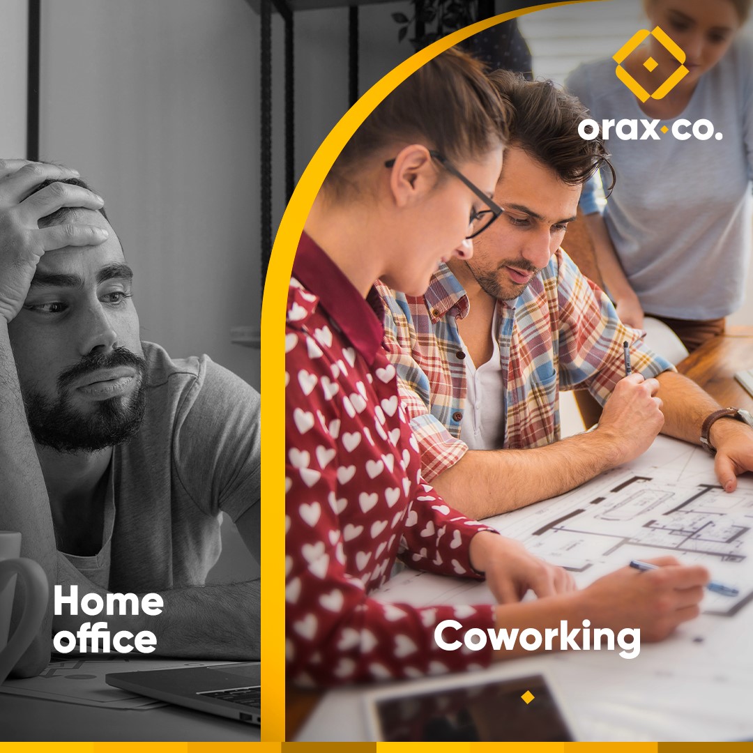 Orax Co. - Viva uma nova experiência em um ambiente... | Facebook