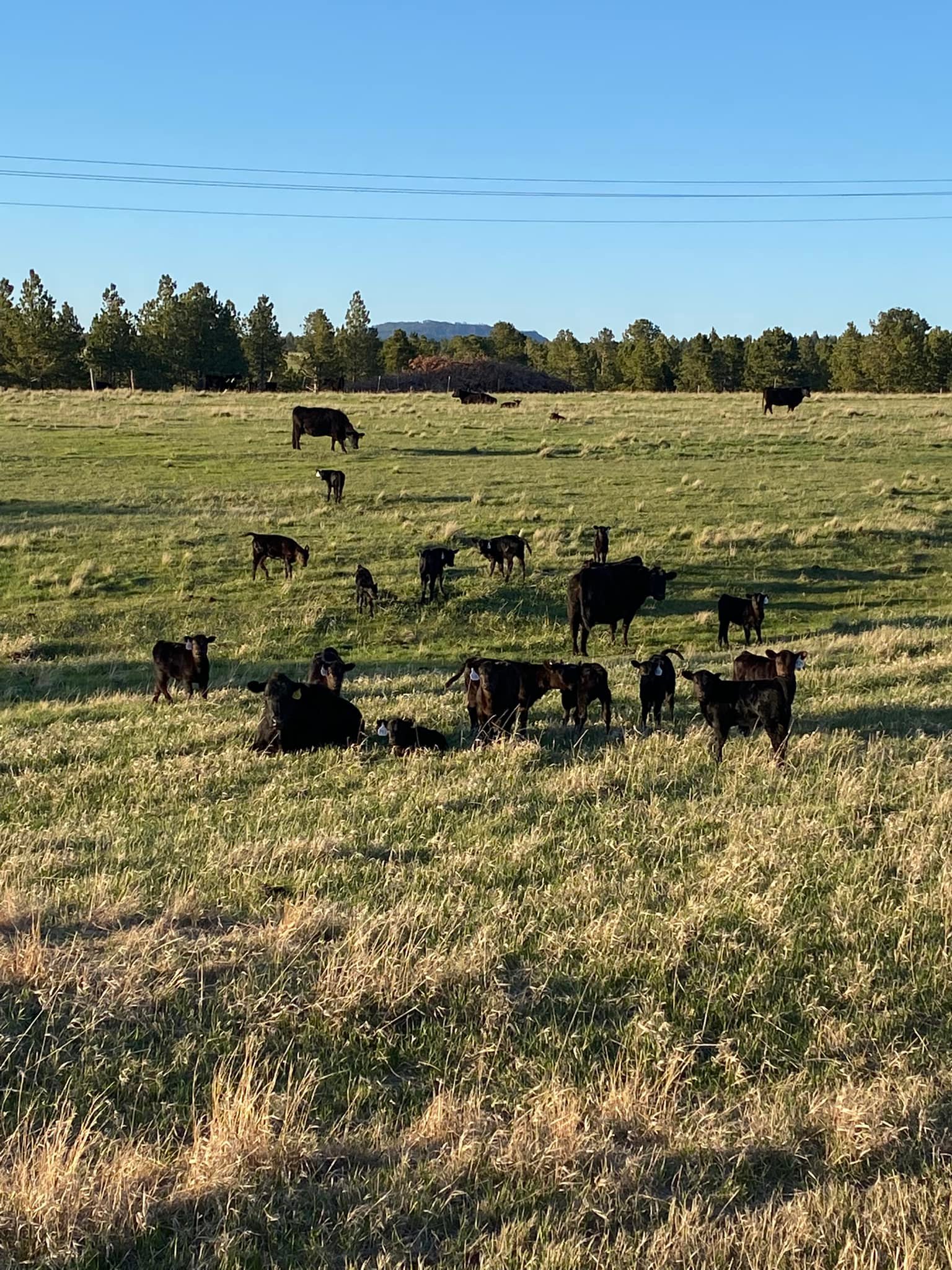 3T Ranch | Upton WY