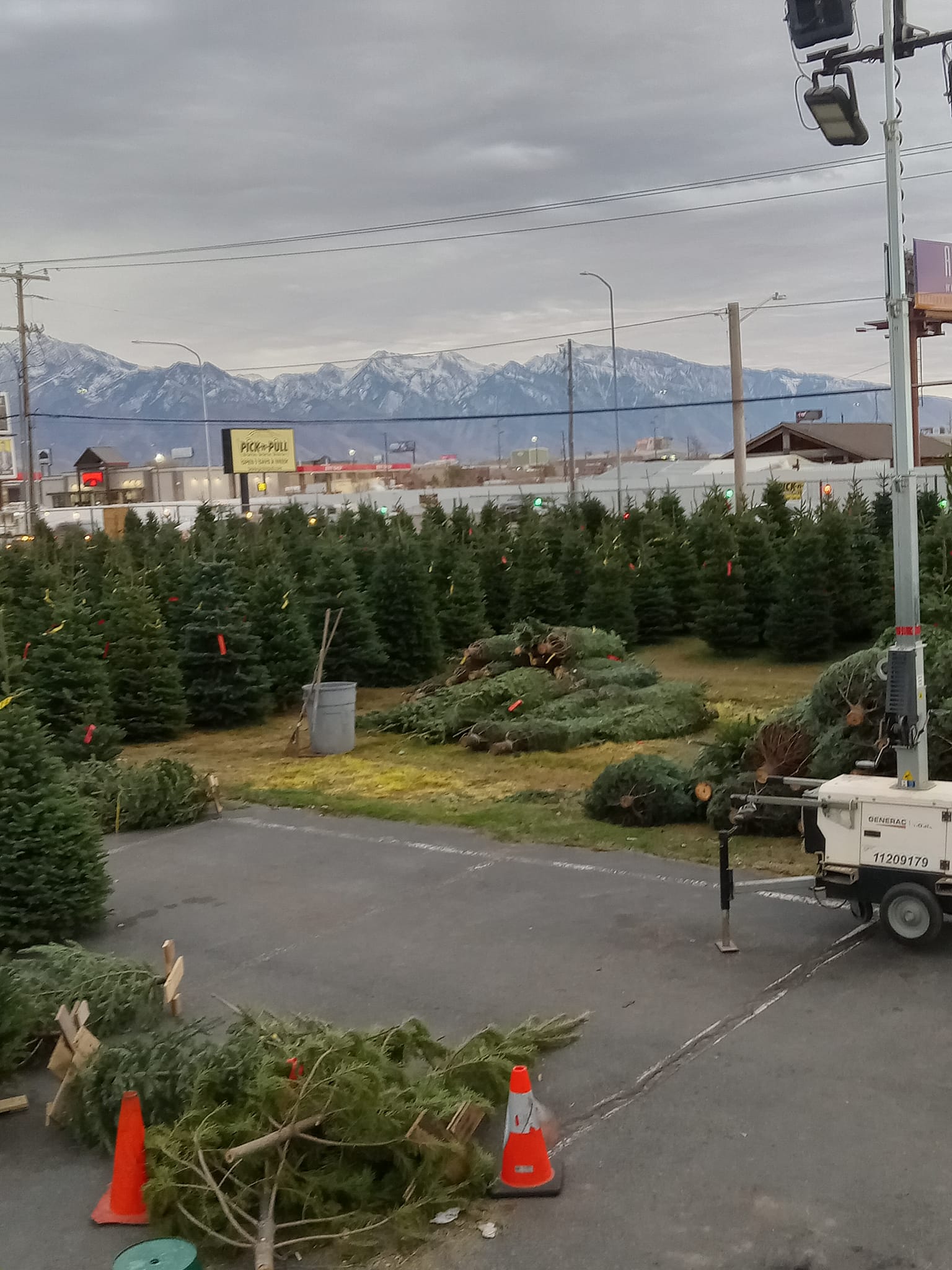 Robinson Tree Farms | South Salt Lake UT