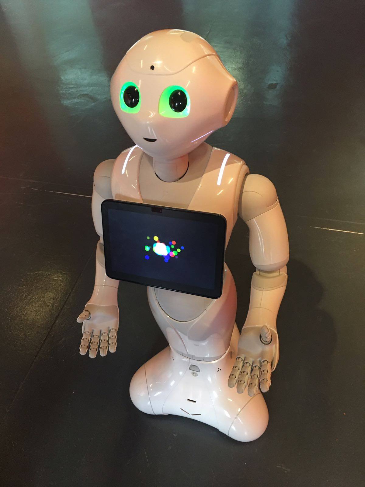 PROBO Robotics GMBH