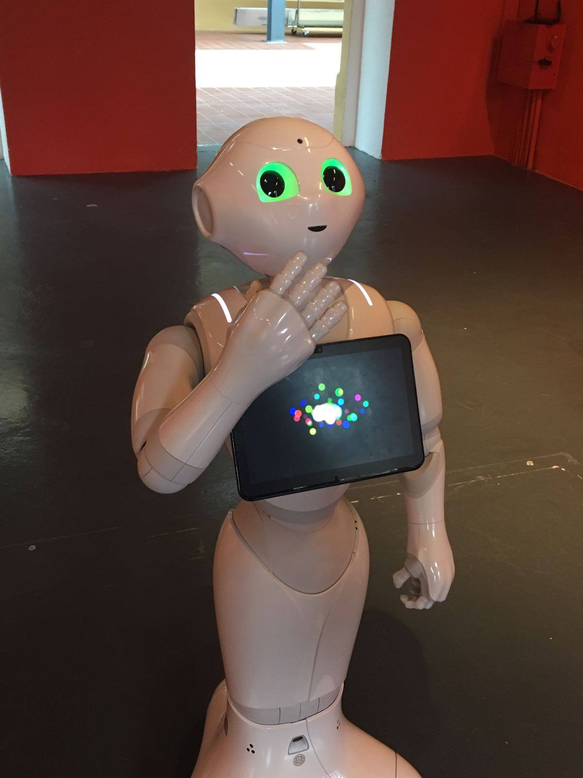 PROBO Robotics GMBH