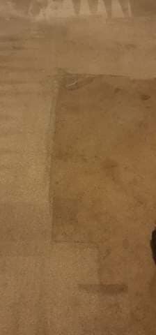 Absolutely gleaming... - Absolutely gleaming carpet cleaning