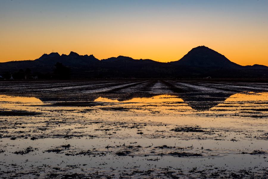 The Sutter Buttes are an... - California Rice Commission
