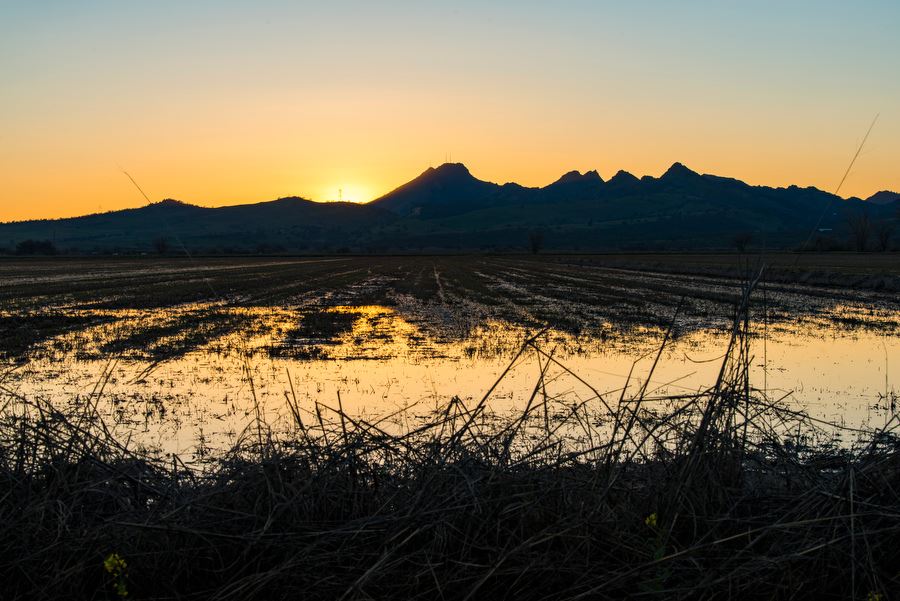 The Sutter Buttes are an... - California Rice Commission