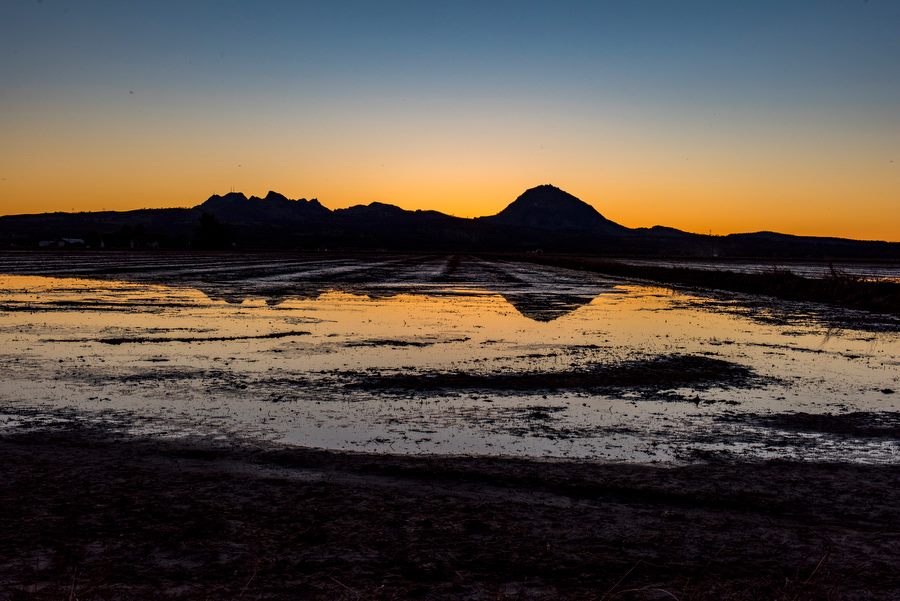The Sutter Buttes are an... - California Rice Commission