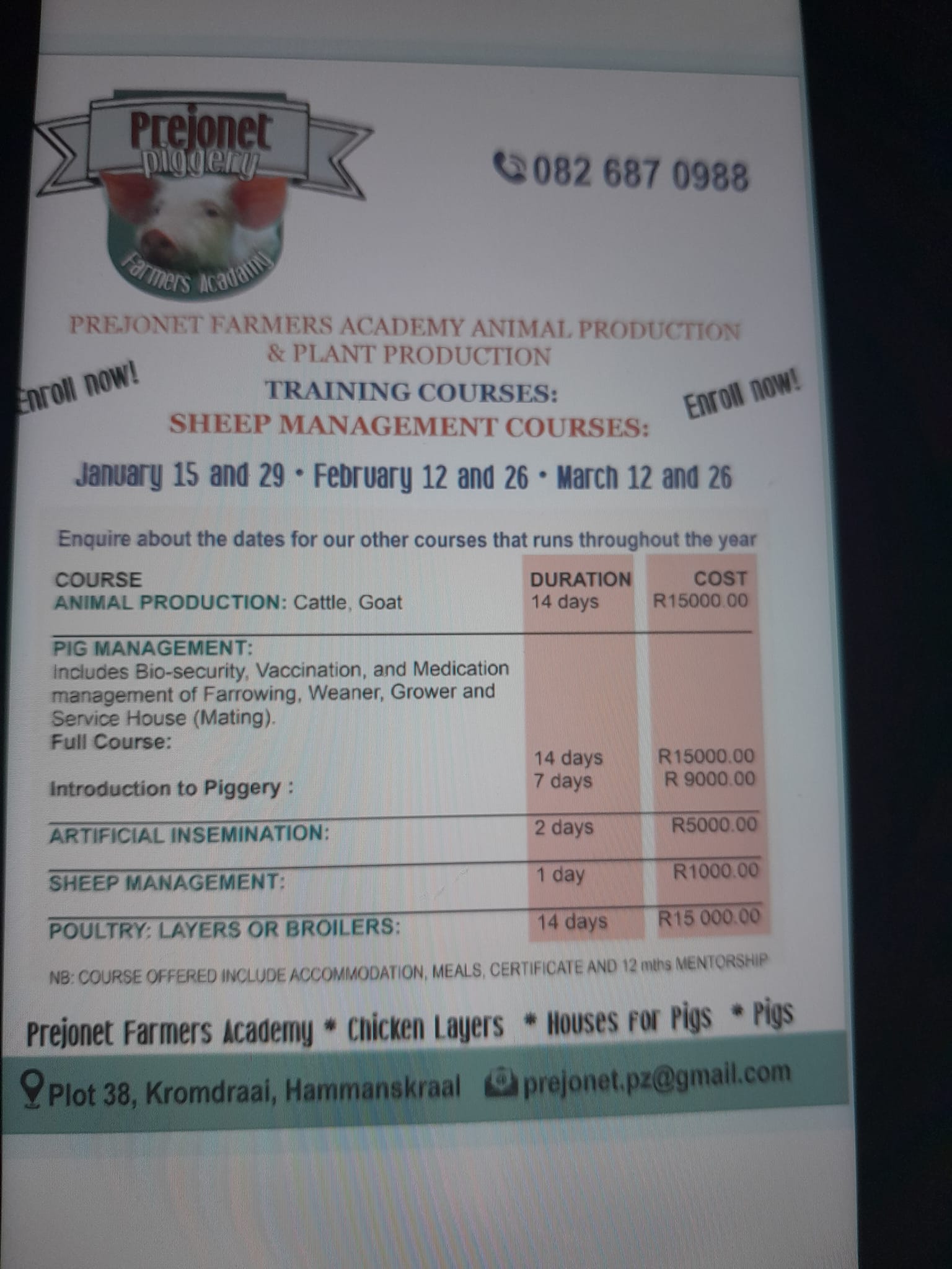 Prejonet Piggery FARM | Pretoria