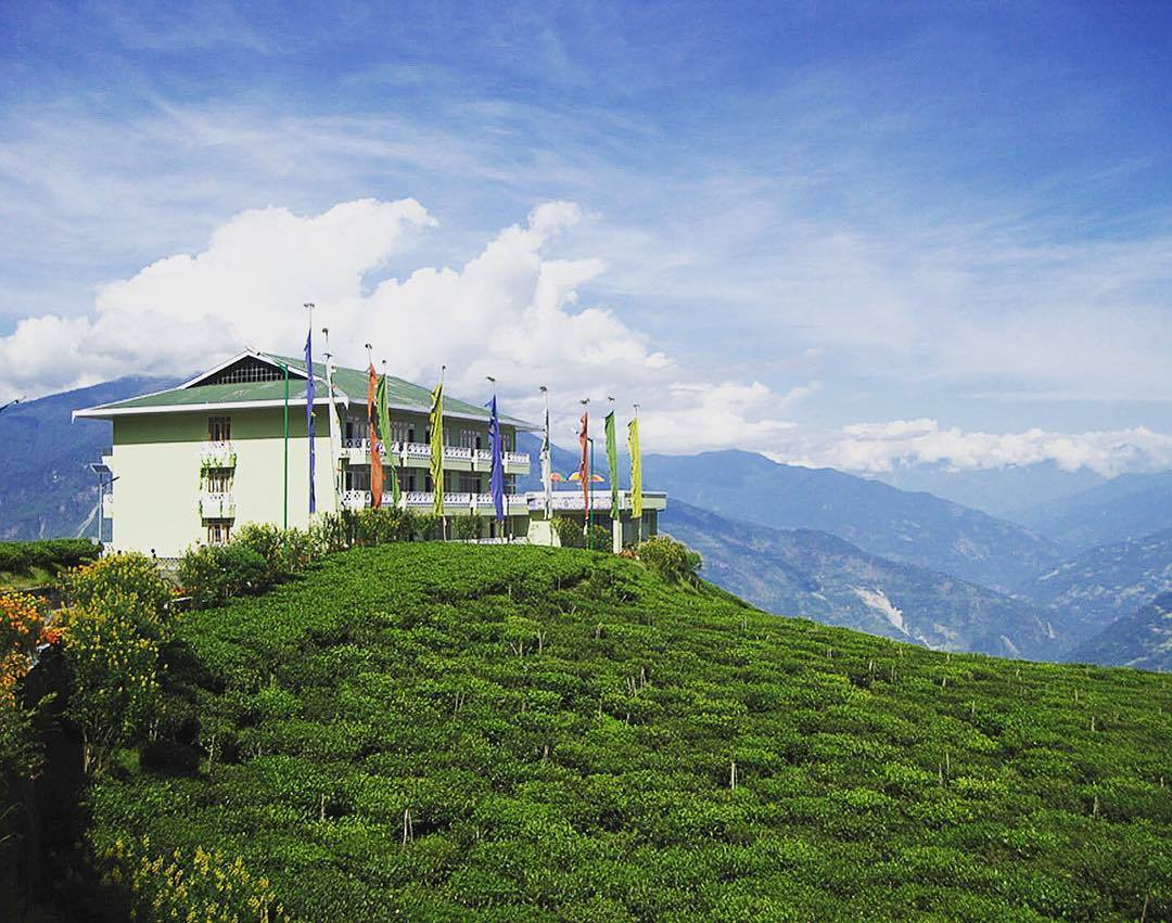 Temi Tea in Japan #FoodexJapan... - Sikkim Messenger