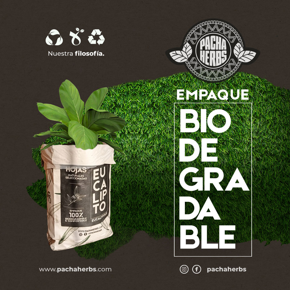 Pacha Herbs | Ambato