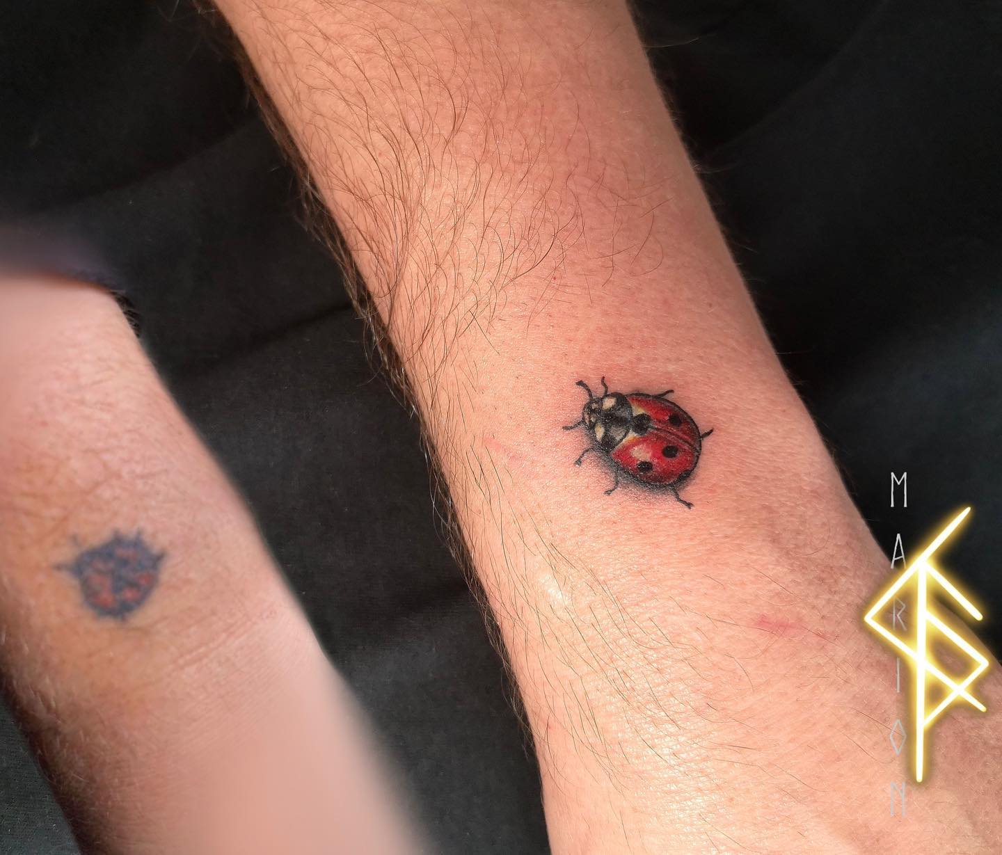 Coccinelle Tatouage Noir Et Blanc