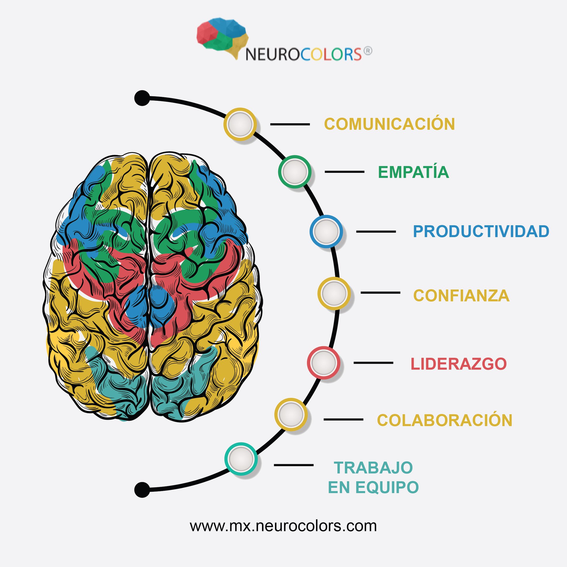 Neurocolors - NeuroColors® te ayuda a aumentar la empatía y la ...