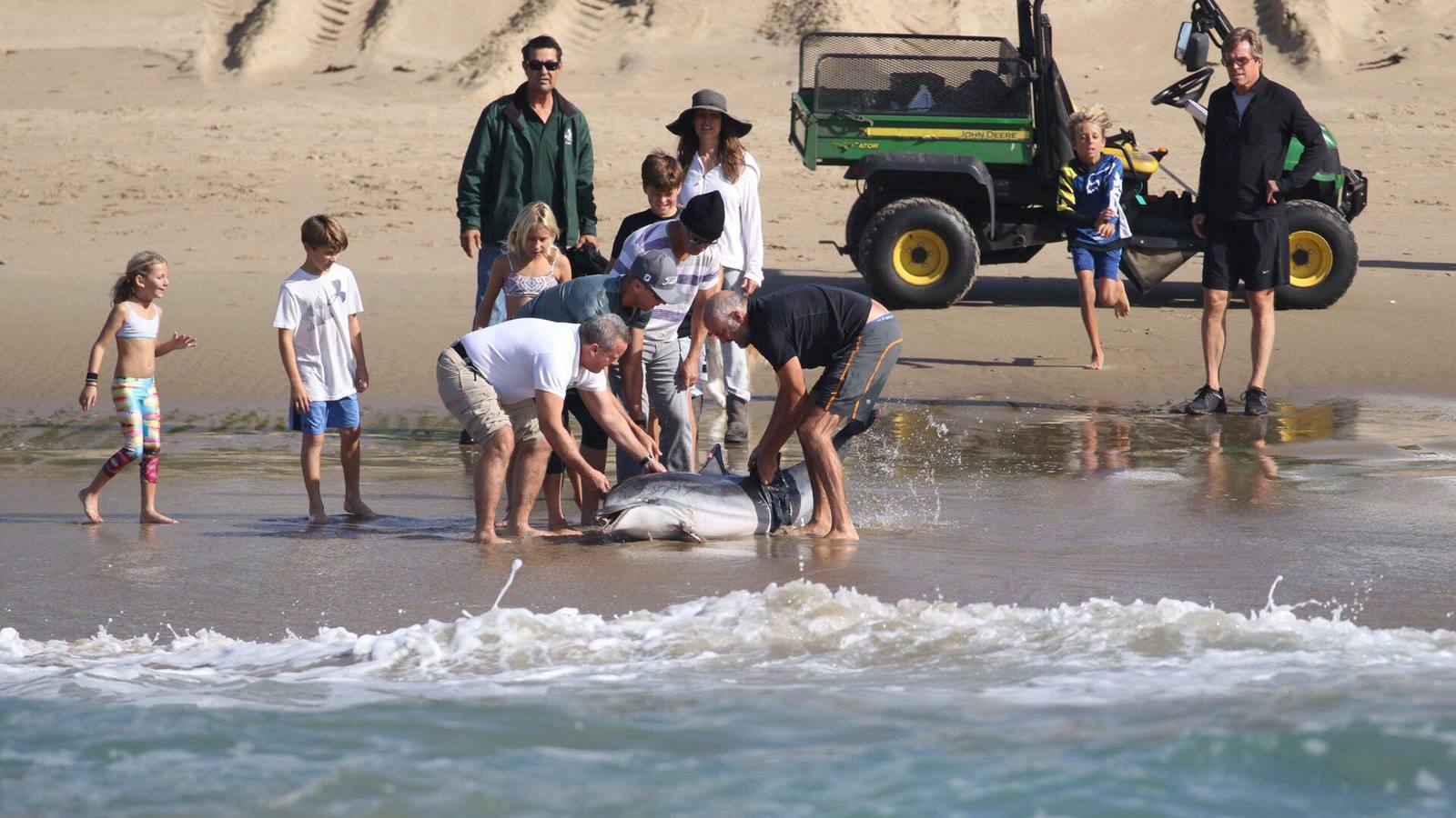 The Pacific Marine Mammal Center is working with scientists to 