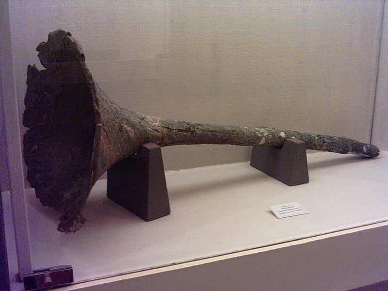 Must - Karna, an Iranian musical instrument from the 6th century BC ...