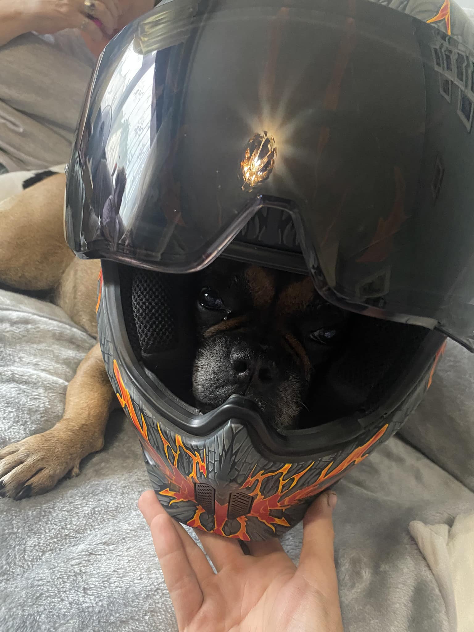 another word for motorcycle helmet HIGHTAIL Hair PROTECTOR hidden enhancements such as stainless steel latches add durability Answering your questions In my