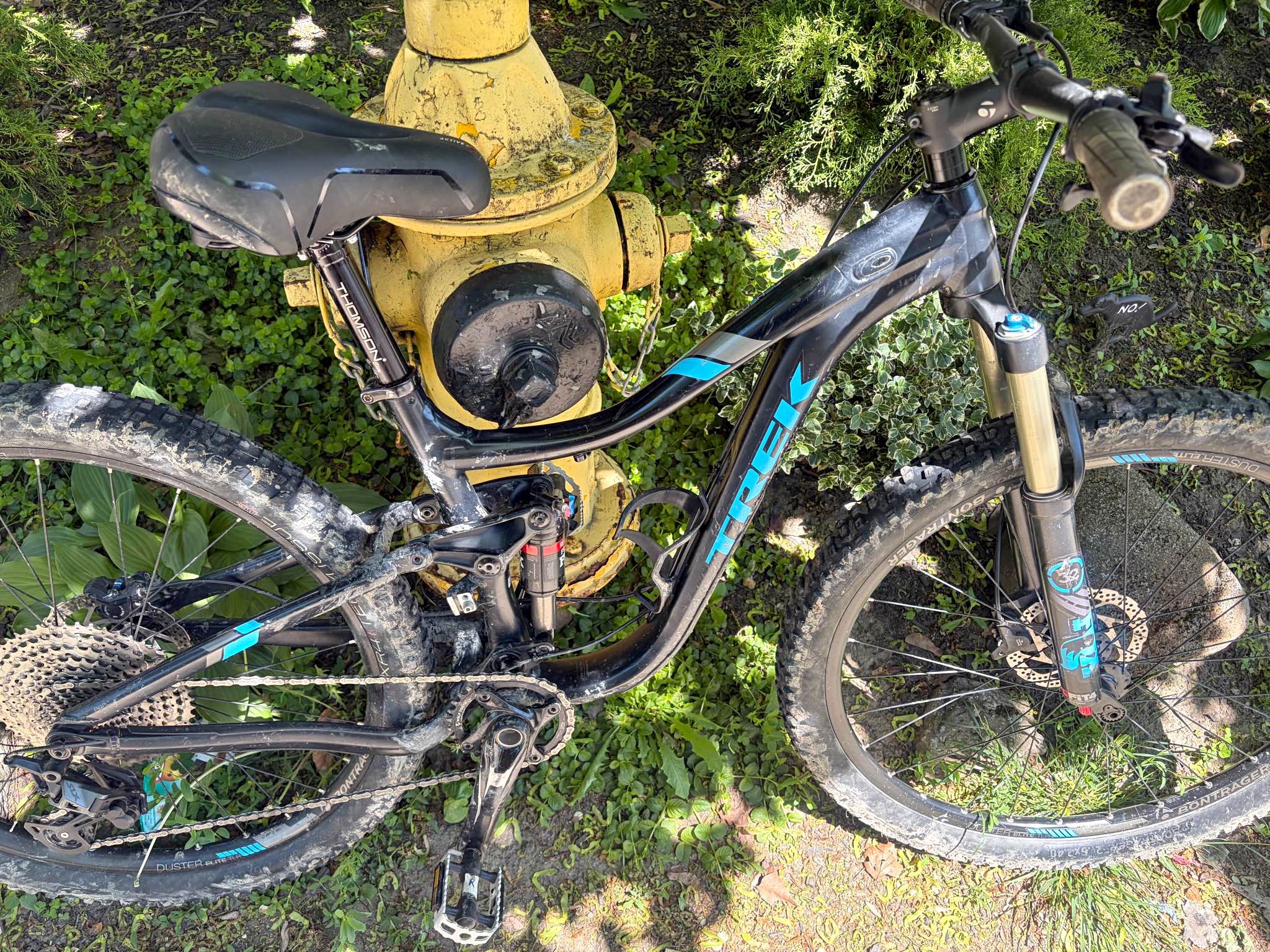 trek bicycles toronto Verve 2 Lowstep (Gen 5) Comfort Bike 2026 Trek Bikes Toronto - Sweet