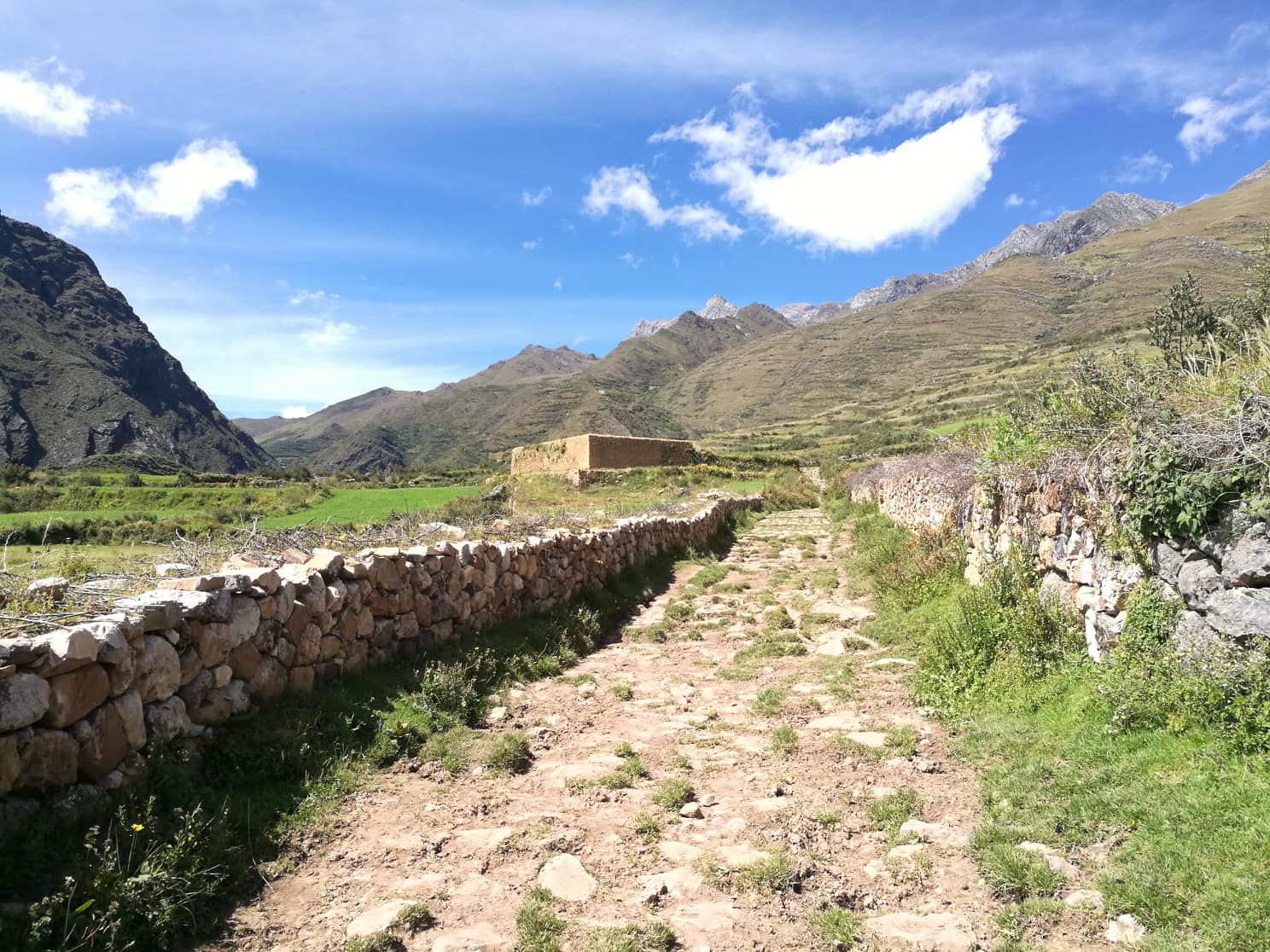 Huachis - Photo 4