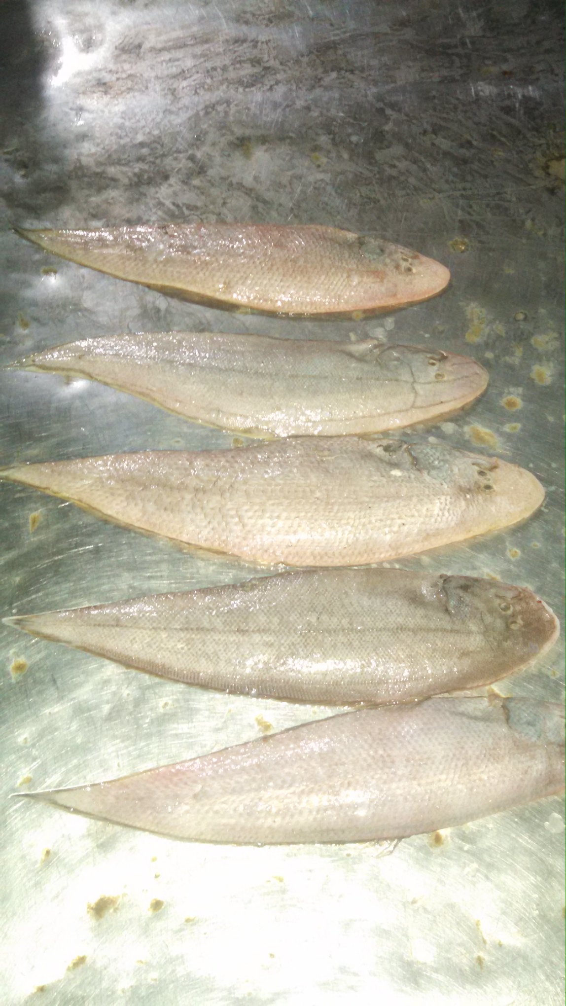 Al Hamd Sea Foods | Karachi