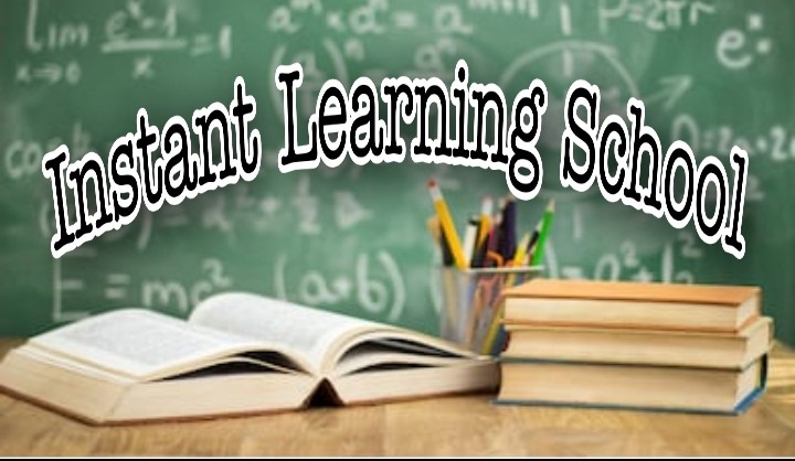 Instant Learning School