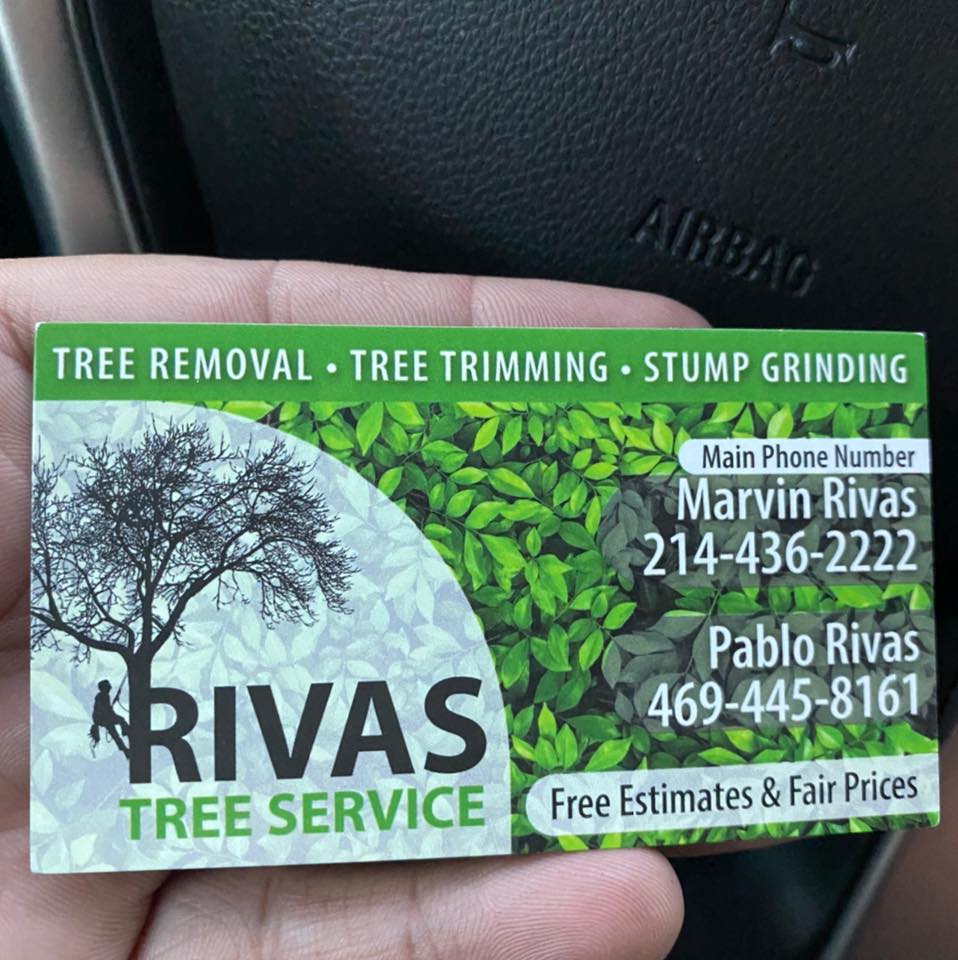 Rivas Tree Service and Stump Grinding