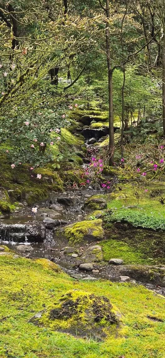 Seattle botanical gardens Japanese garden inspiration