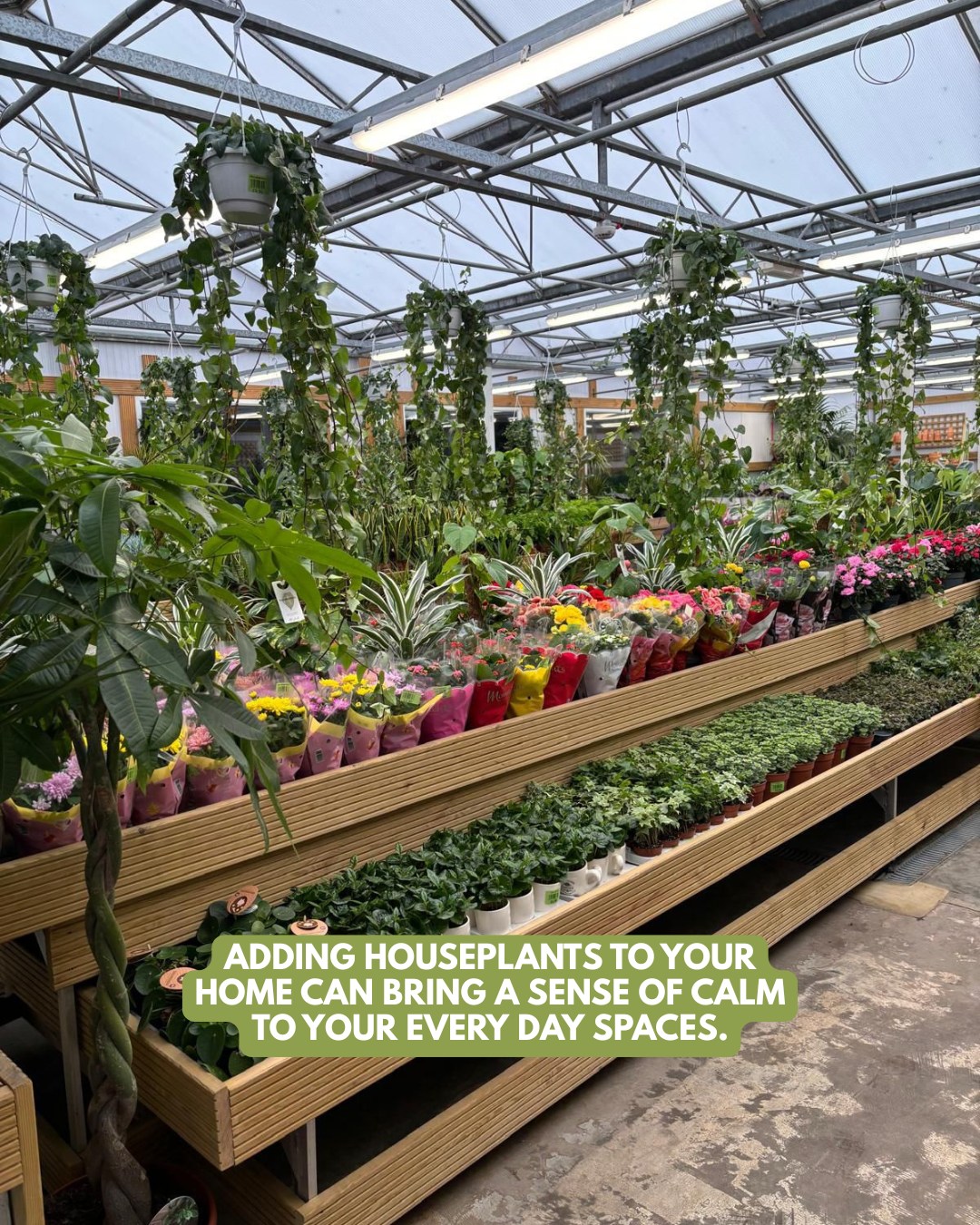Springtime Nurseries Crews Hill | London