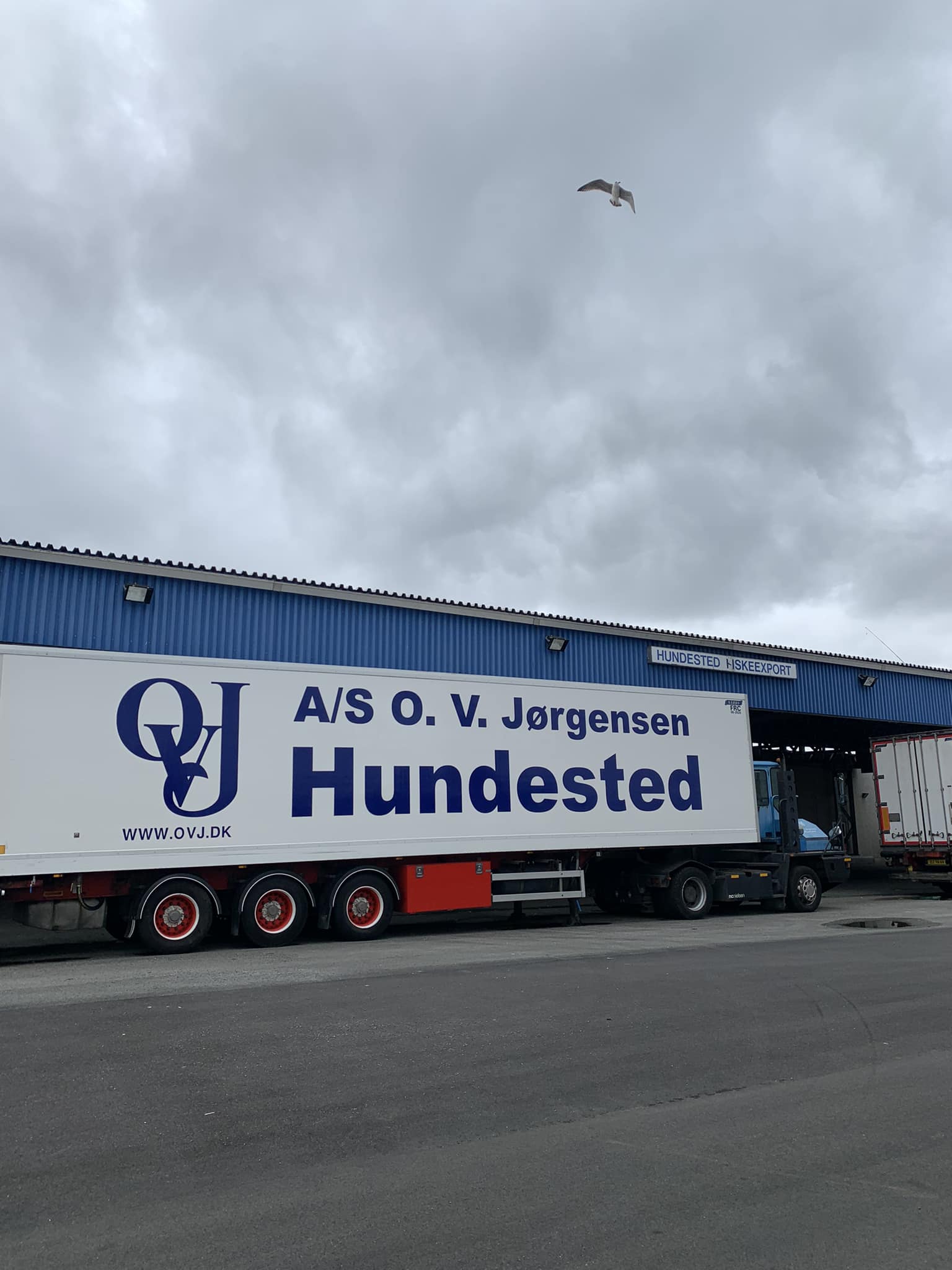 hundested-havn-ved-hundested-fiskeexport-som-har-v-ret-facebook