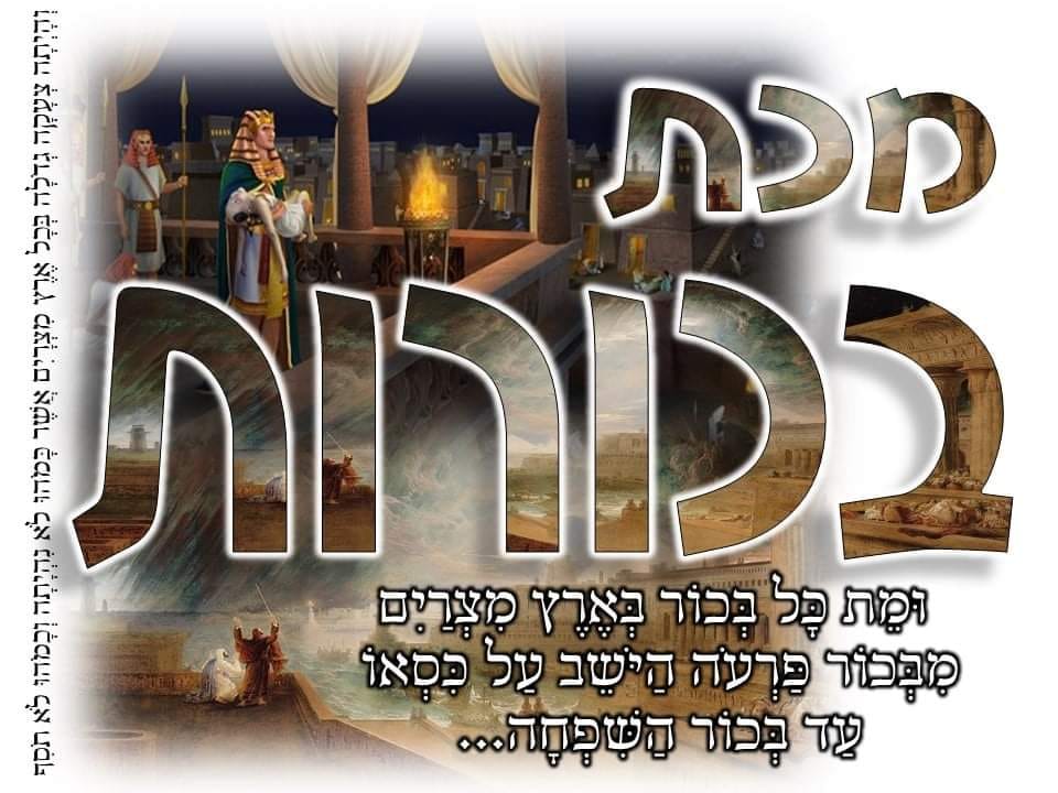 הודו - 