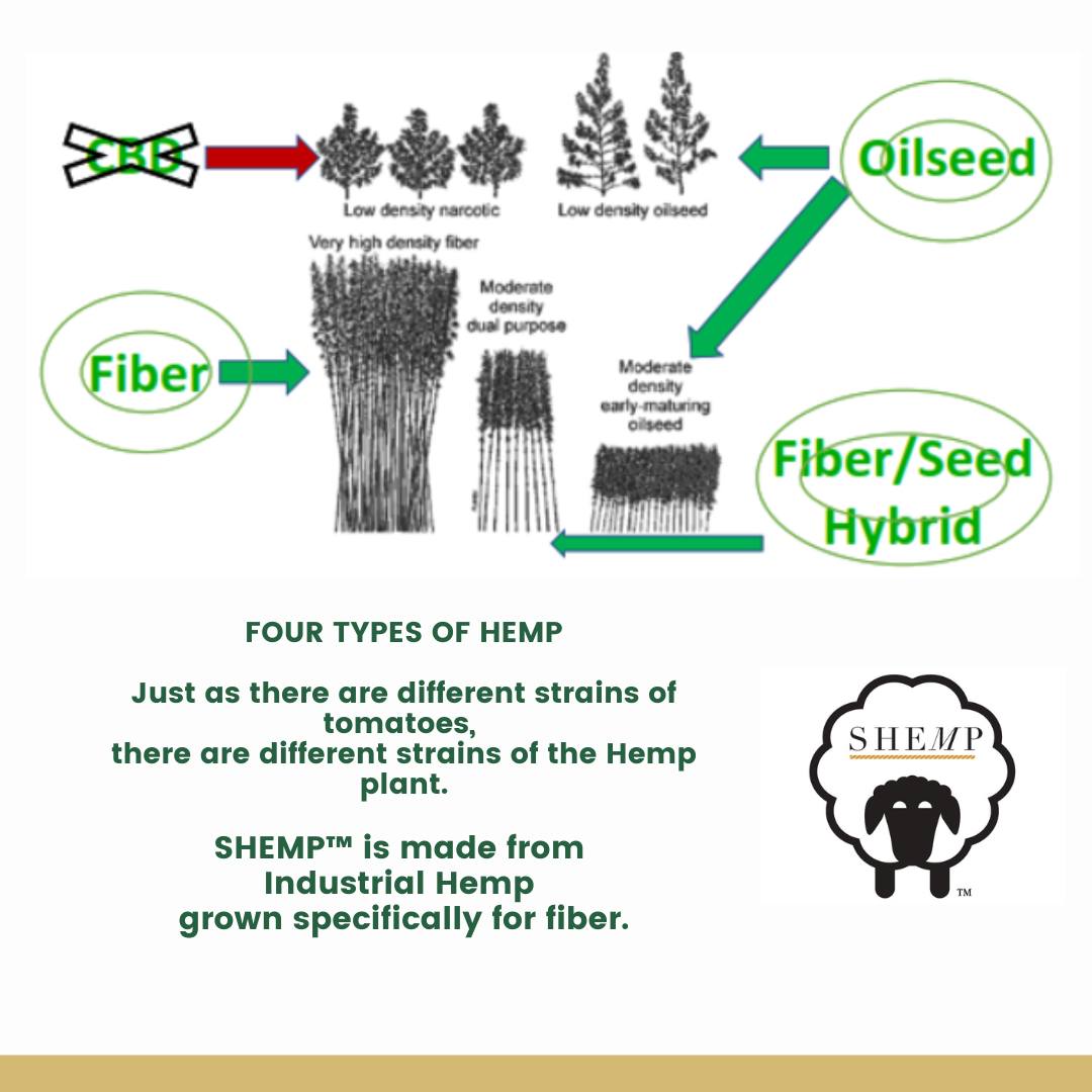 Did you know that there are 4... - The SHEMP Yarn Company | Facebook