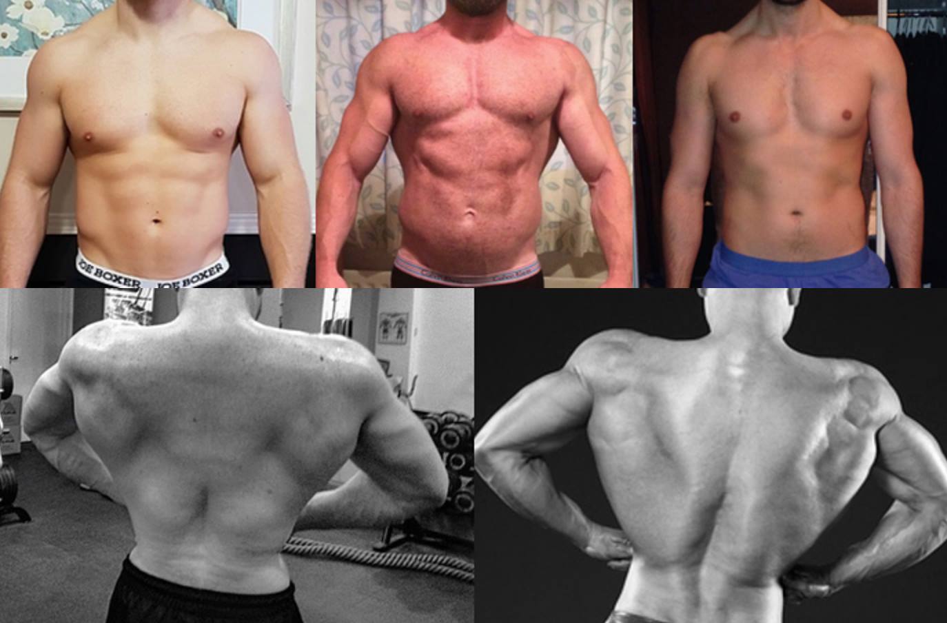 Chris Colucci - The 