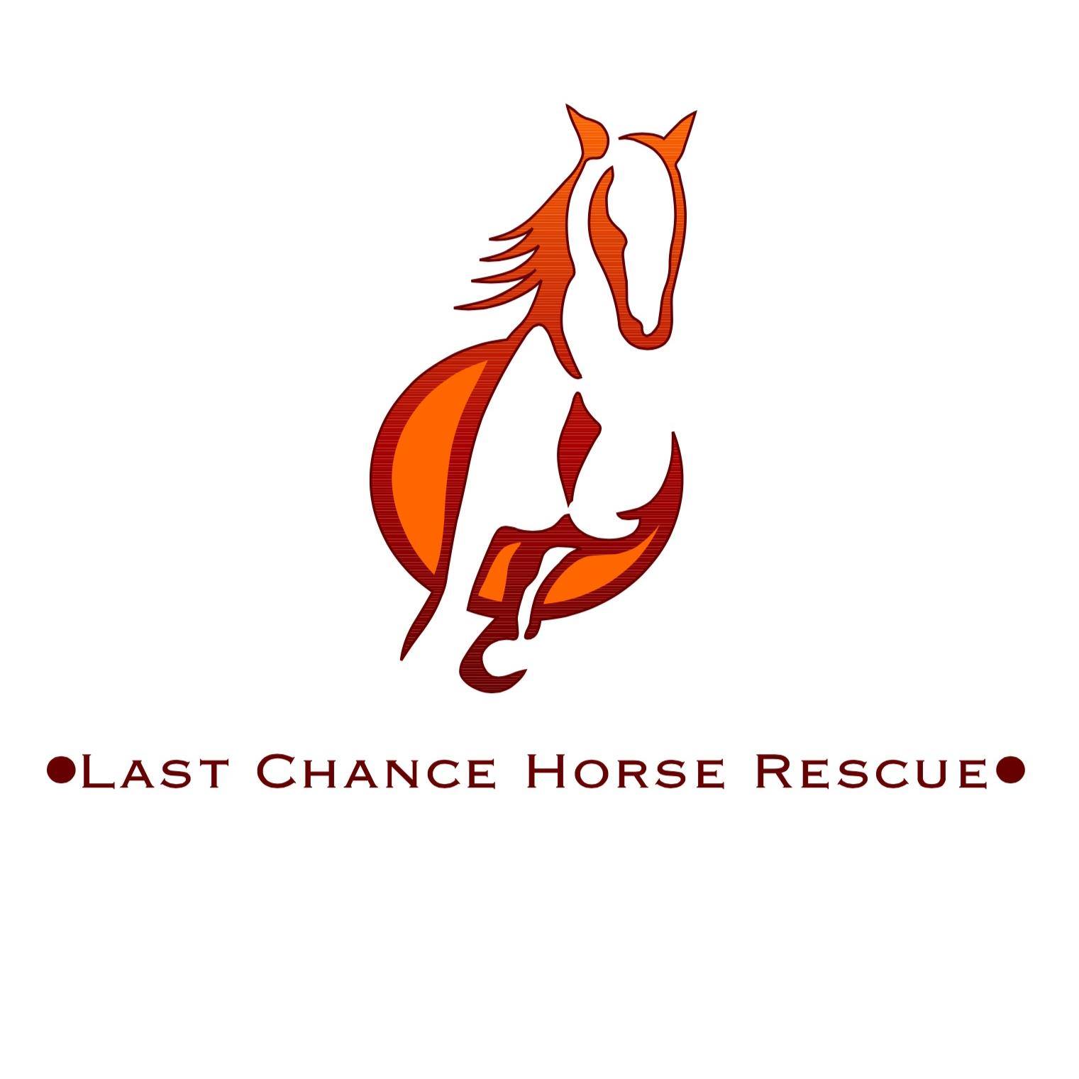 Last Chance Horse Rescue