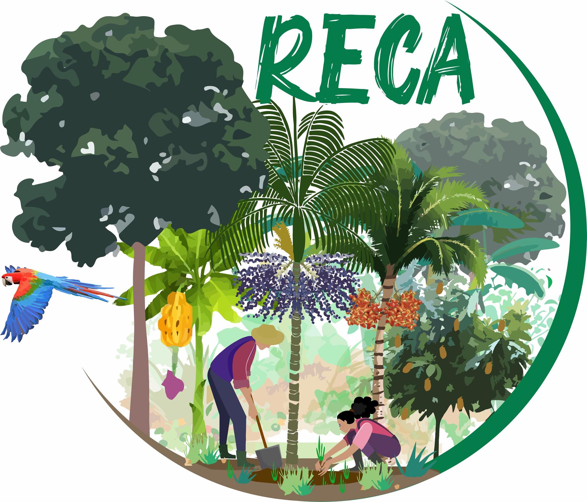 Projeto Reca - Fundado em 1989, o Projeto RECA (Projeto de ...