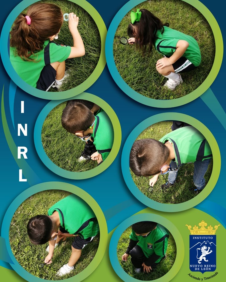 INRL Site - Living and non-living things are part of our...