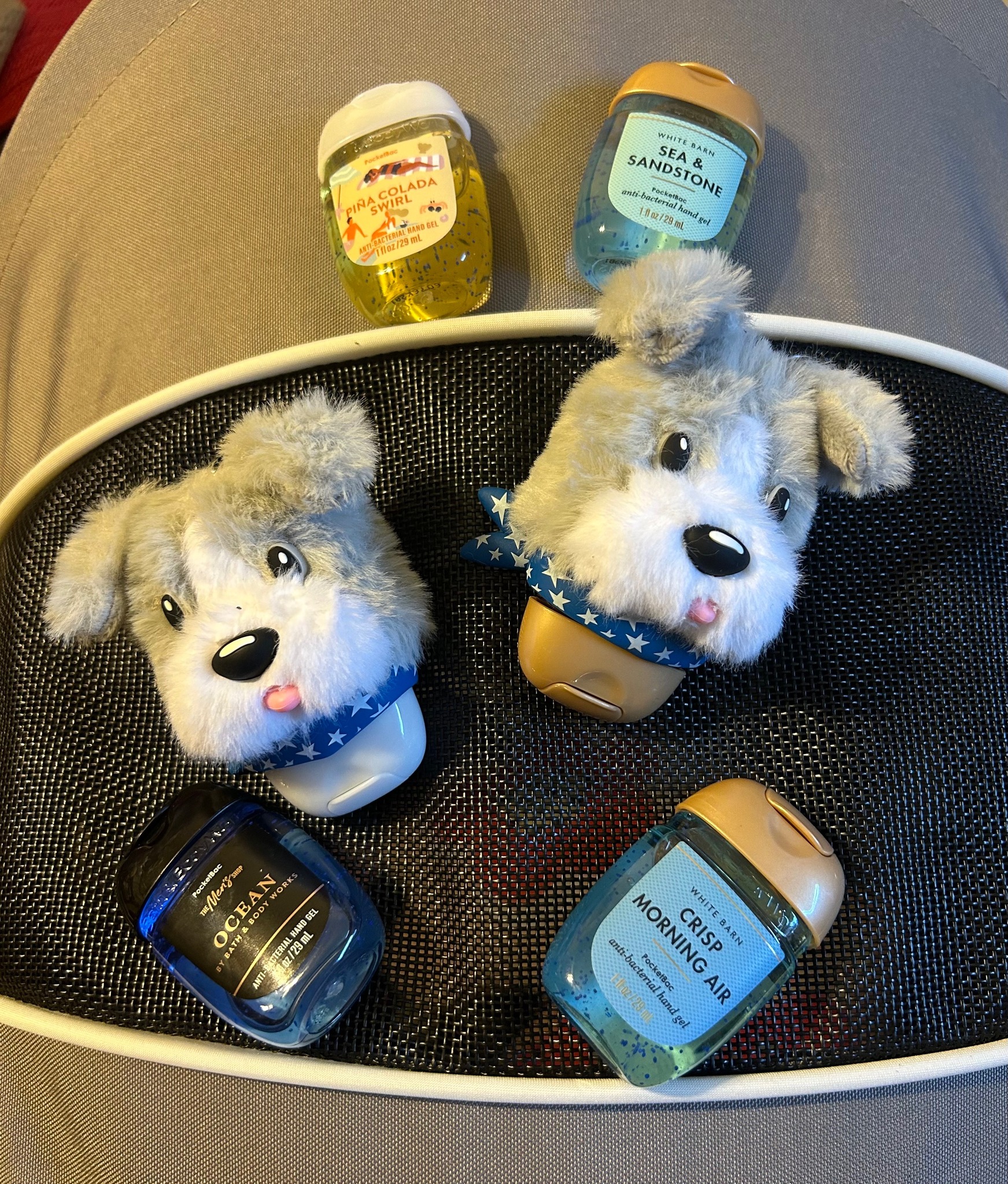 Bath and body works hand sanitizer holder