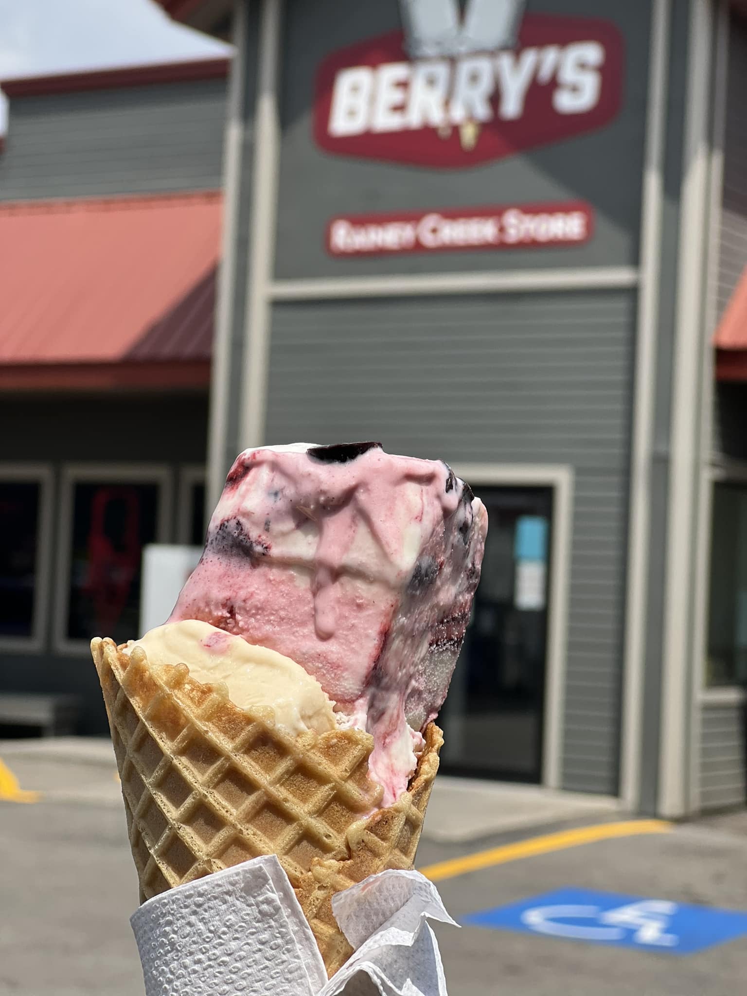 Berry Station in Kaysville for ice cream