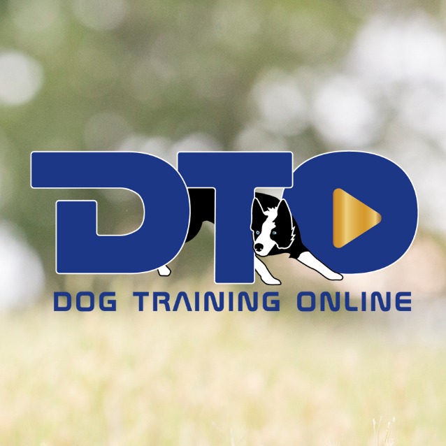Can you tell what your dog is feeling before they show you a problem ...