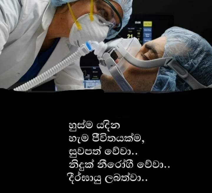 Hasitha Subasinghe