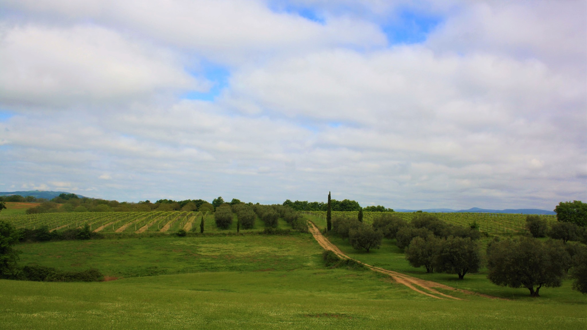 Trusca Piccola Tenuta Bio