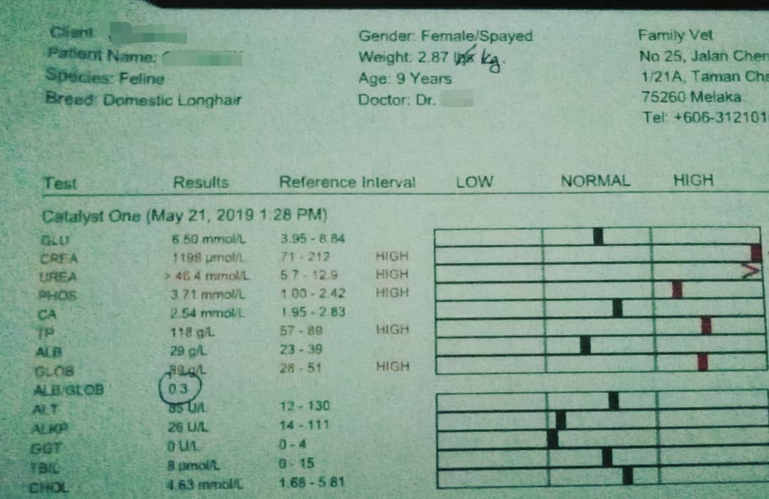 Klinik Veterinar Family Surgeri Cheng Melaka Keputusan Ujian Darah Kucing Yang Bermasalah Buah Pinggang Yang Berpunca Daripada Fip Jenis Kering Tanda2 Yang Ditunjukkan Oleh Kucing Ini 1 Periodontal Disease