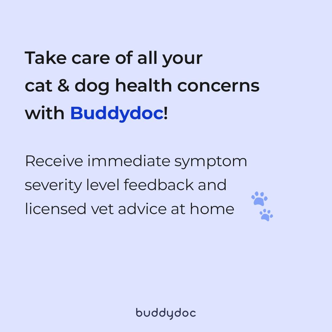 Buddydoc - Dog and Cat Symptom Checker