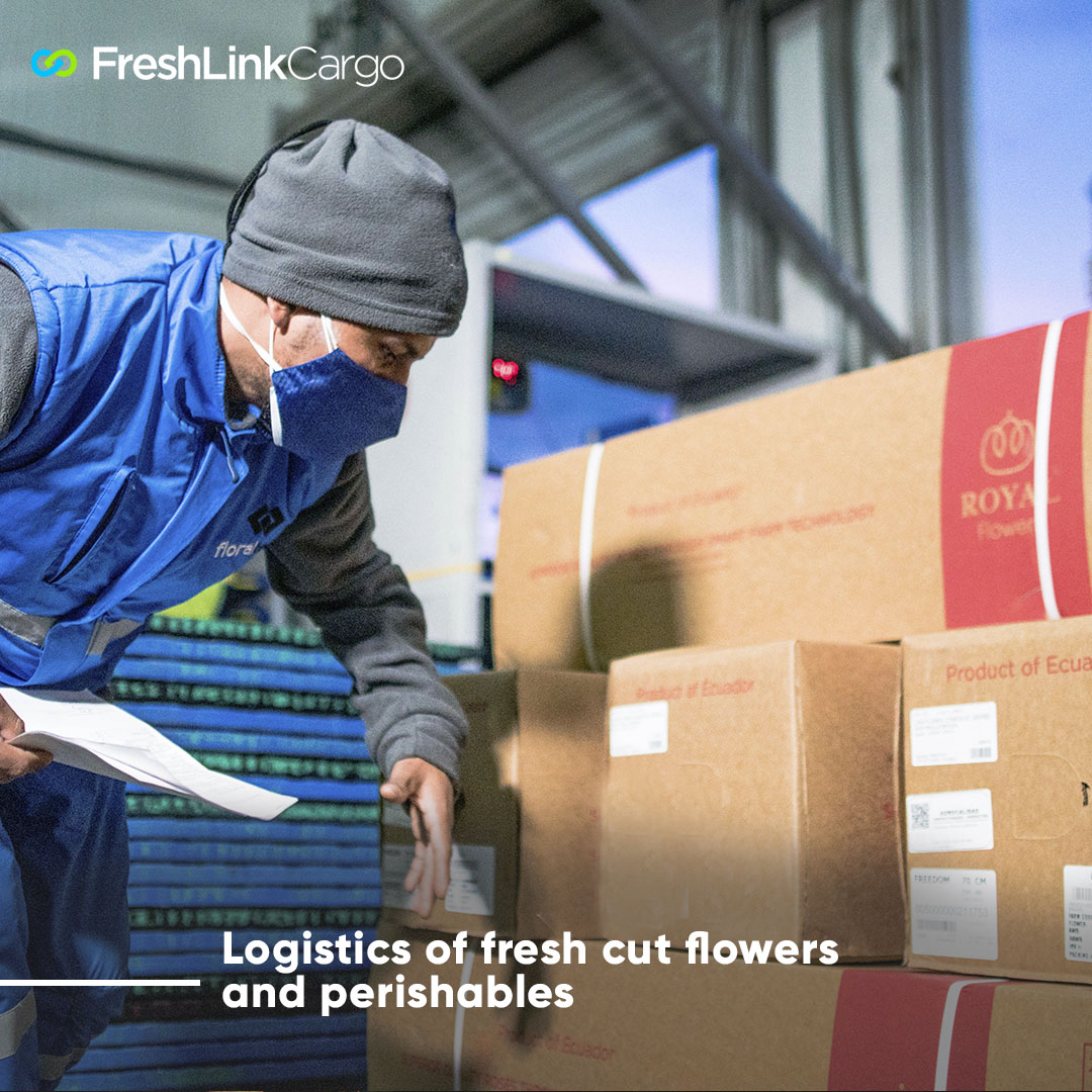 Freshlink Cargo | Tabacundo