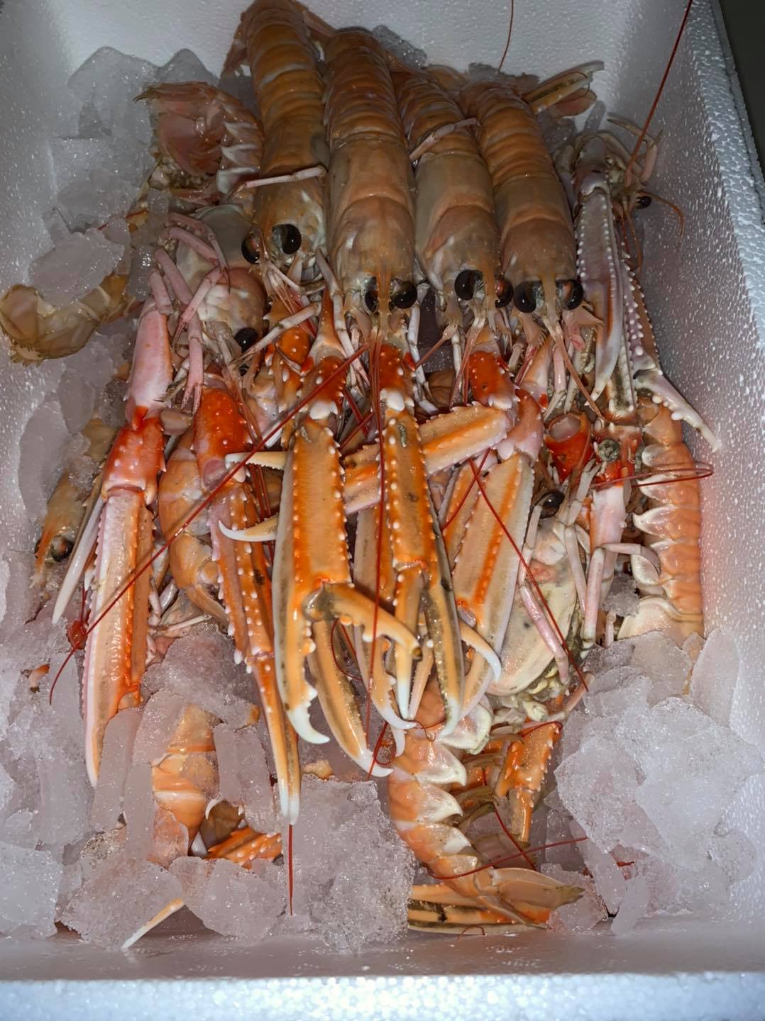 RM Seafoods | Buckie