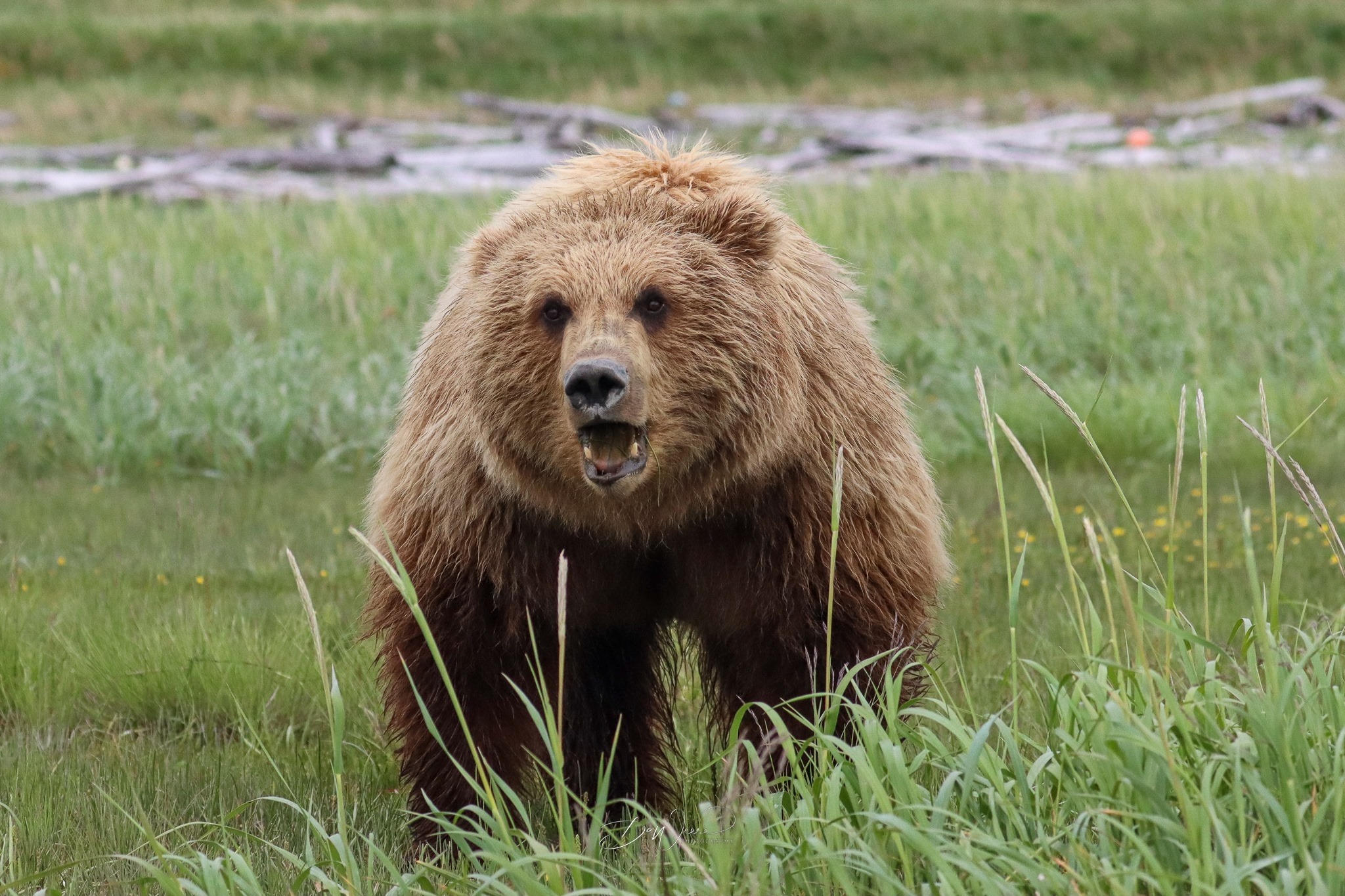 Spring Kayaking in Kodiak Spring is one of the best times to kayak ...
