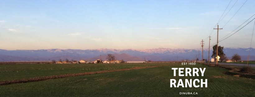 Terry Ranch | Dinuba CA
