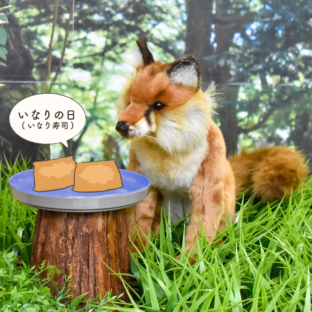 今日は #いなりの日 甘いいなり寿司は子供も大人も大好きな人気の料理