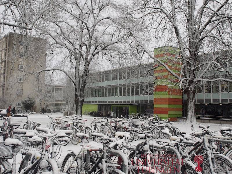 Und Da Ist Er Wieder Der Winter Meldet Eberhard Karls